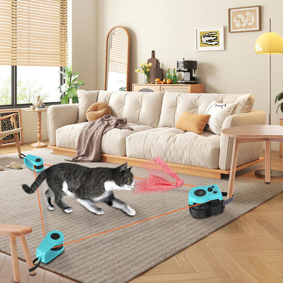 Cat Interactive Weight Loss Remote Control Toy – Blue