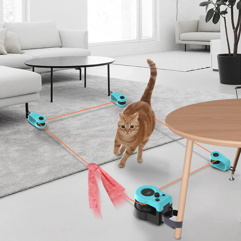 Cat Interactive Weight Loss Remote Control Toy – Blue