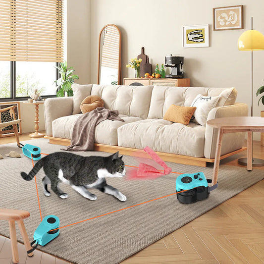 Cat Interactive Weight Loss Remote Control Toy – Blue