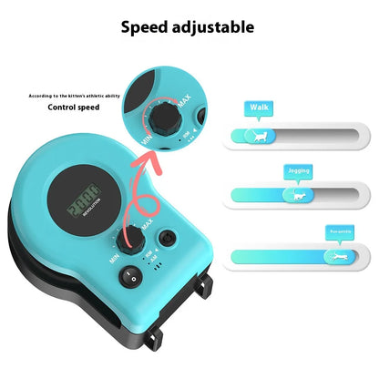 Cat interactive Weight Loss Toy